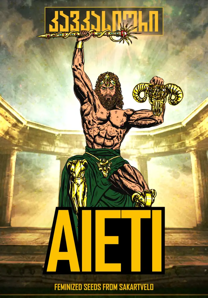 Aieti Auto
