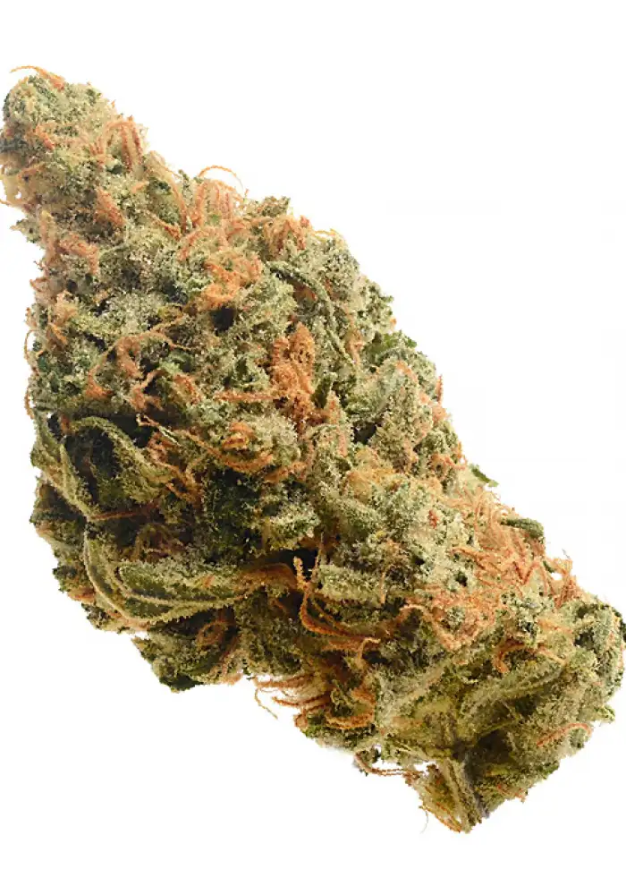 Lemon Haze