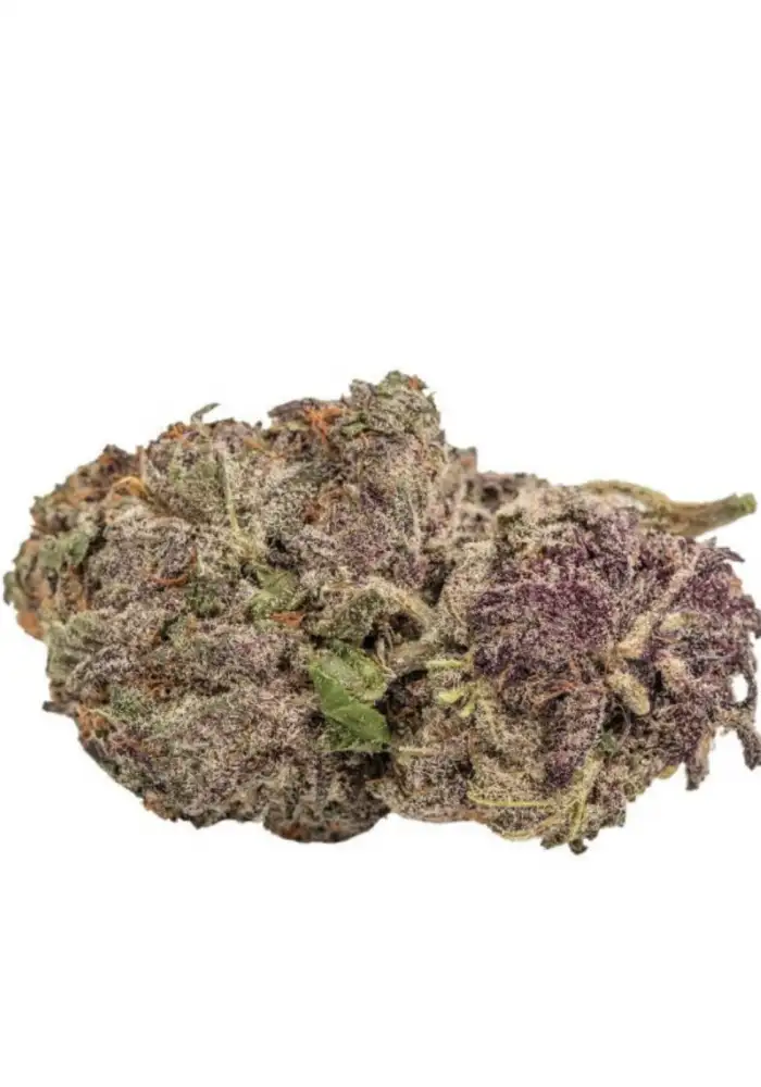 Ultra Violet GMO
