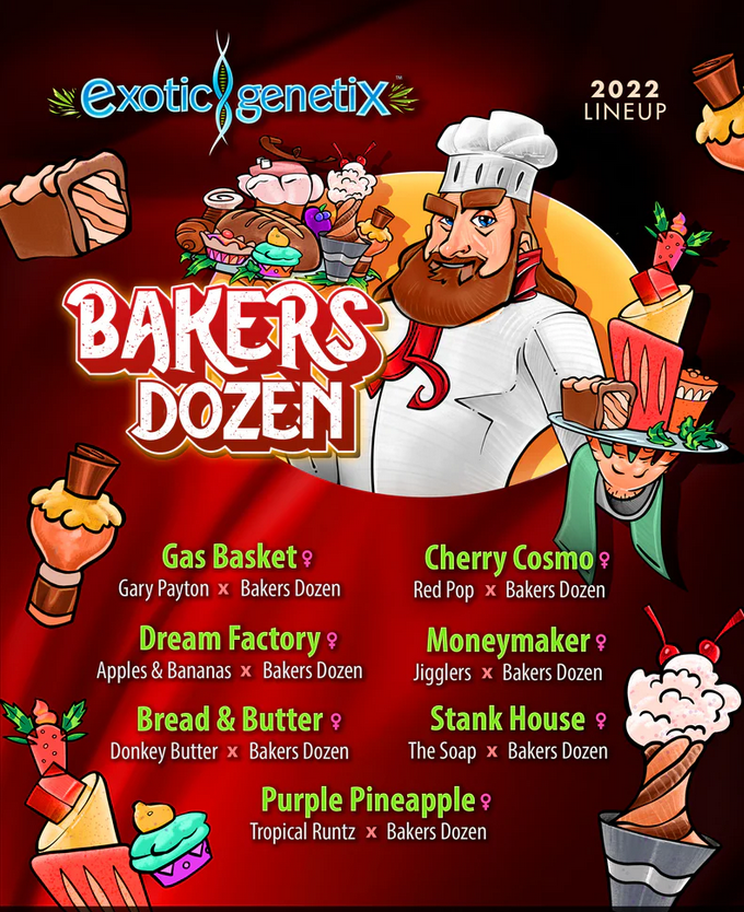 Gas Basket Strain Info / Gas Basket Weed By Exotic Genetix - GrowDiaries