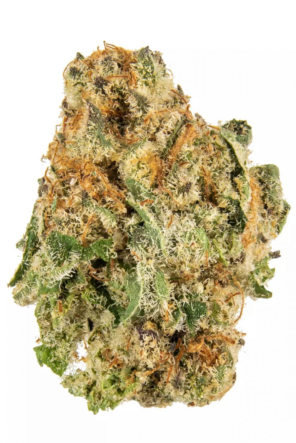 Supreme Grapes Strain Info / Supreme Grapes Weed By In House