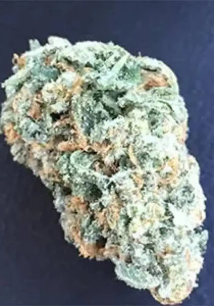 Wedding Cake Feminized