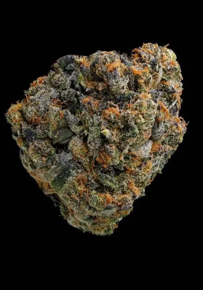 Girl Scout Cookies