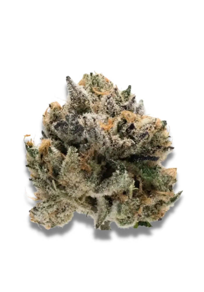 Tropical cookies