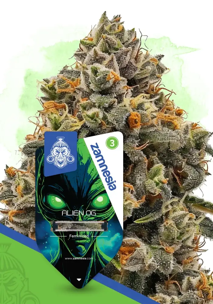 Alien OG