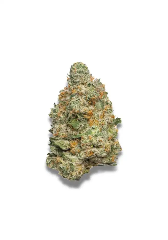 Apple Fritter Autoflower
