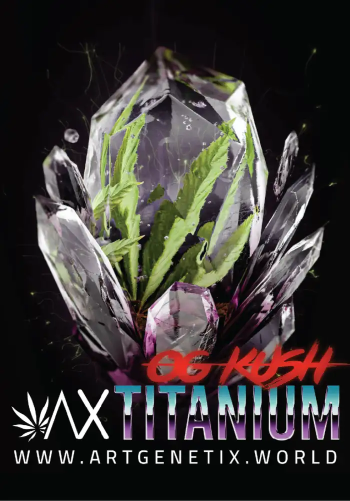 Titanium OG KUSH