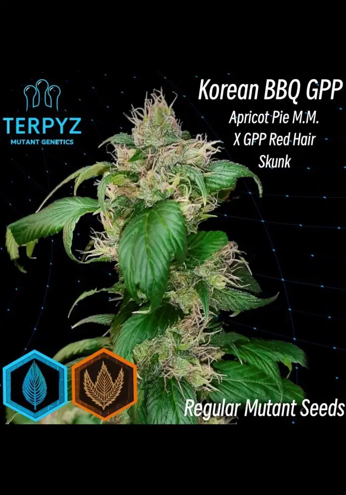 Korean BBQ GPP©