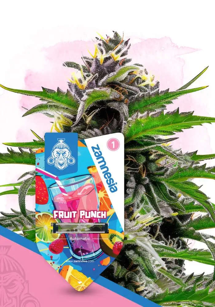 Fruit Punch Automatic