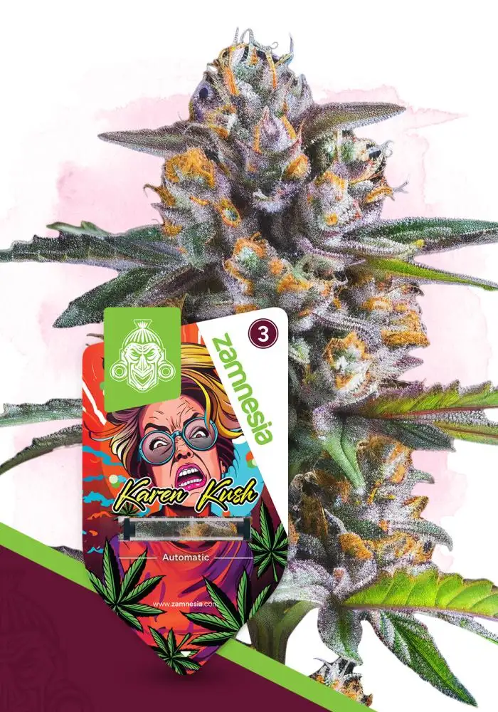 Karen Kush Automatic