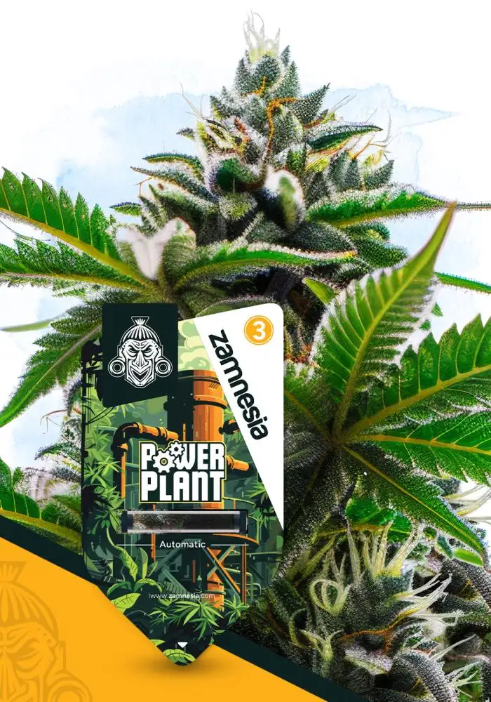 Power Plant Automatic