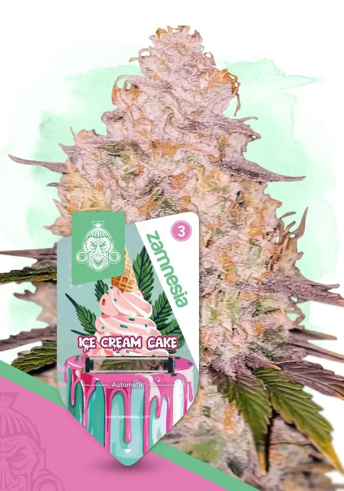 Ice Cream Cake Automatic