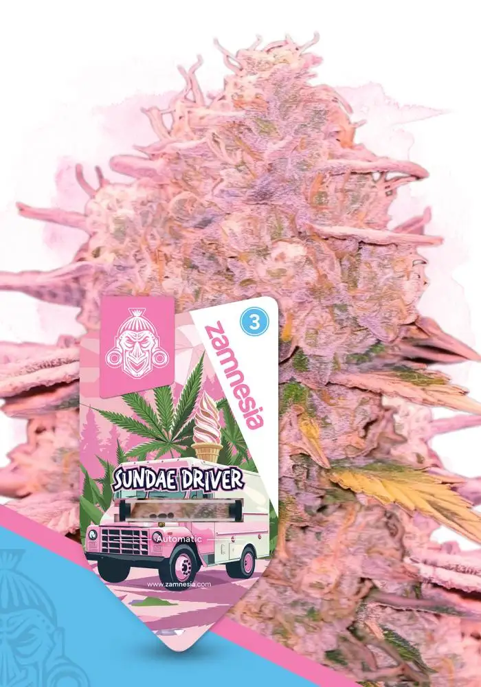 Sundae Driver Automatic