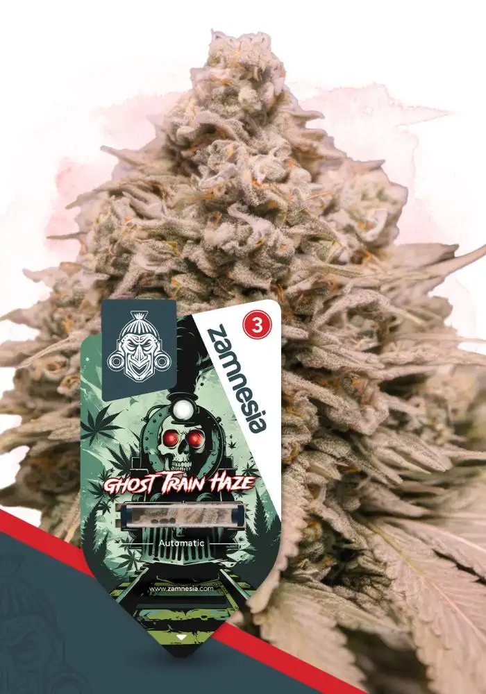 Ghost Train Haze
