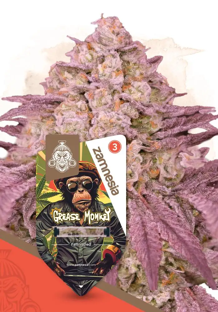 Grease Monkey