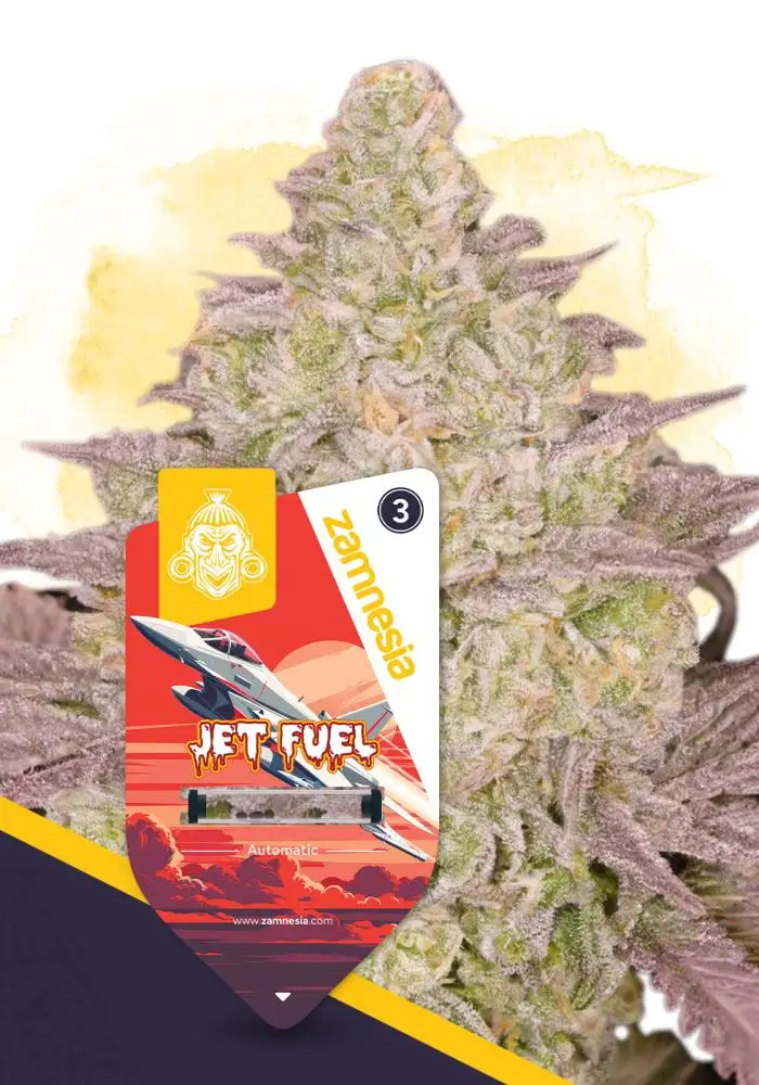 Jet Fuel Automatic