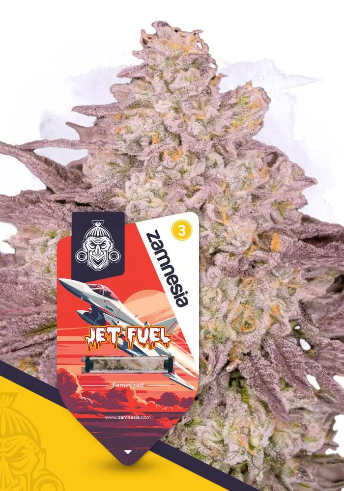 Jet Fuel