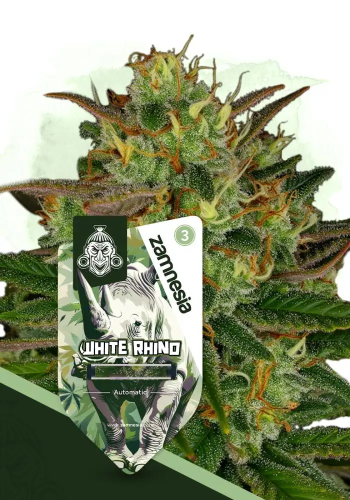 White Rhino Auto
