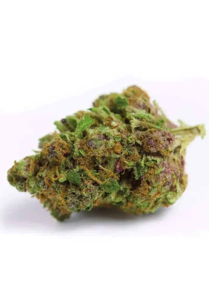  Red Banana berry Double xl Autoflower