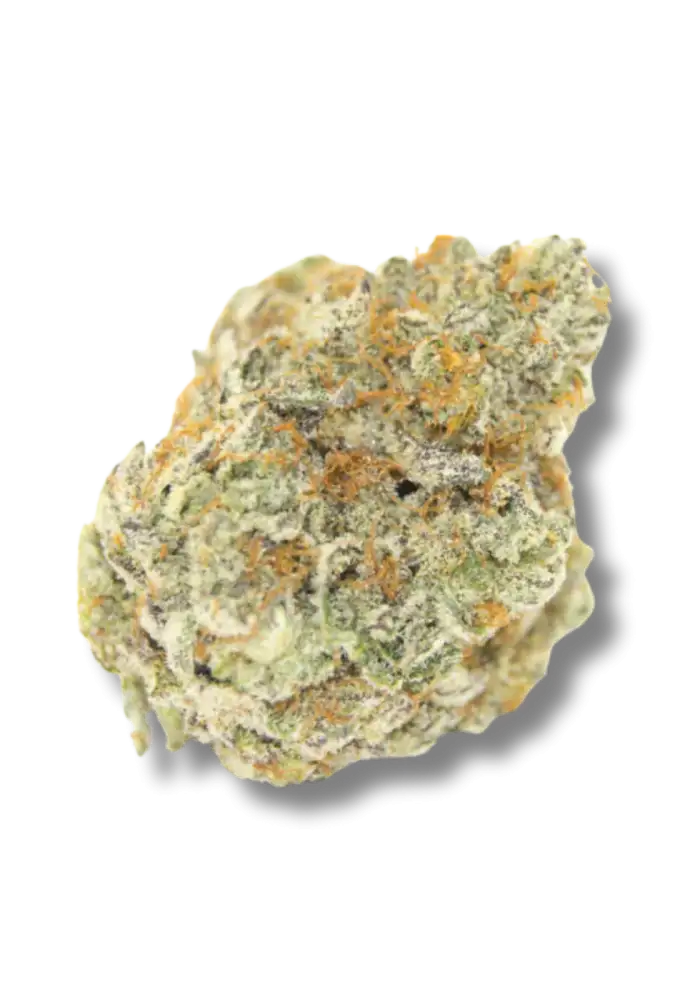 Permanent Whitemarker Autoflower