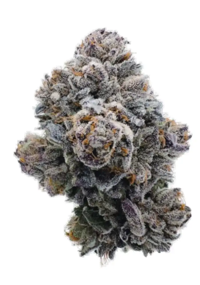 Pink Glitterbomb
