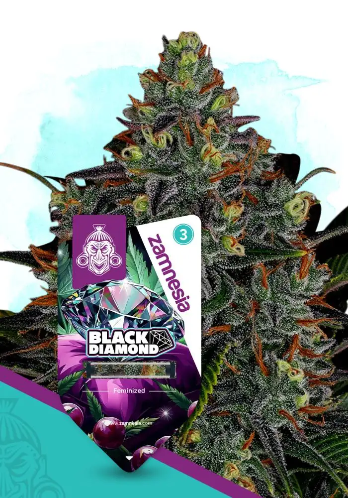 Black Diamond