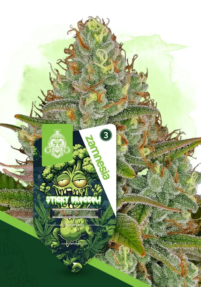 Sticky Broccoli Automatic