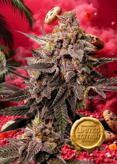 Red Tropicana Cookies