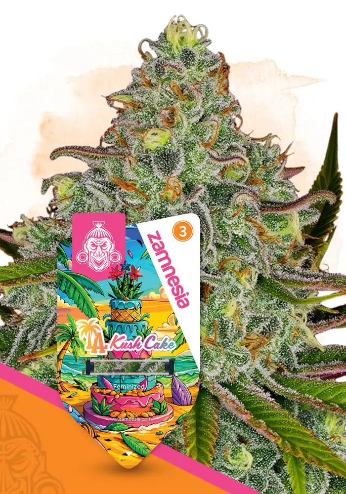 LA Kush Cake