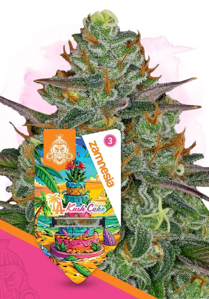 LA Kush Cake Automatic