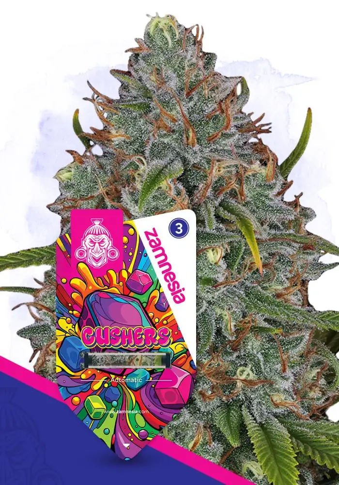 Gushers Automatic