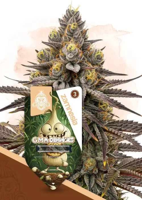 GMO Cookies