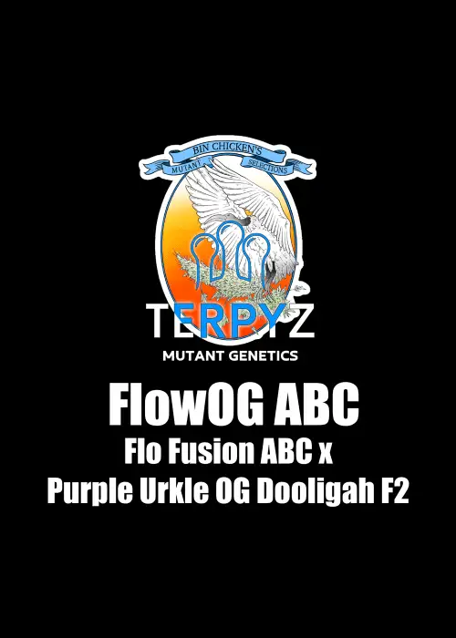 FlowOG ABC