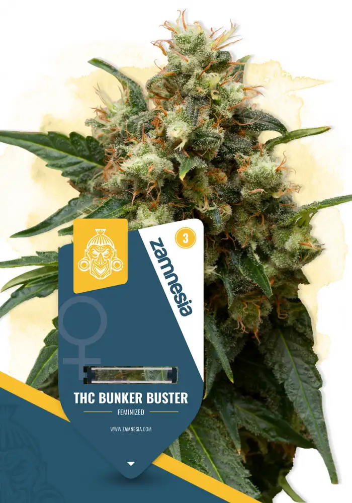 THC Bunker Buster