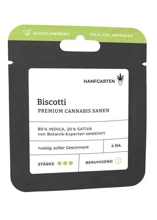 Biscotti | Autoflowering