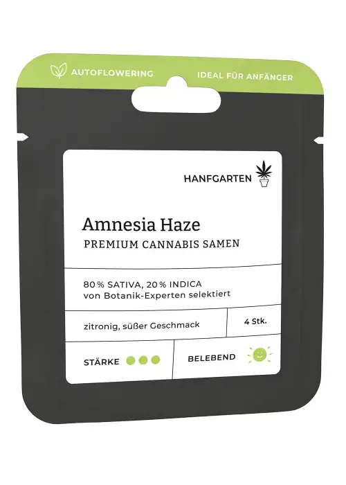 Amnesia Haze | Autoflowering