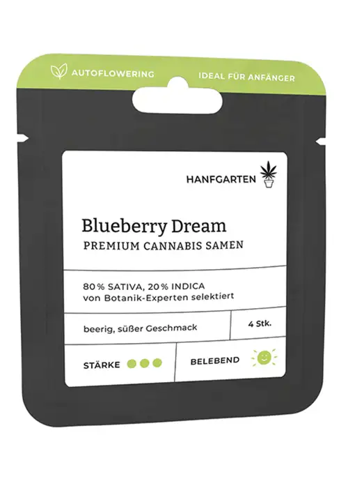 Blueberry Dream | Autoflowering