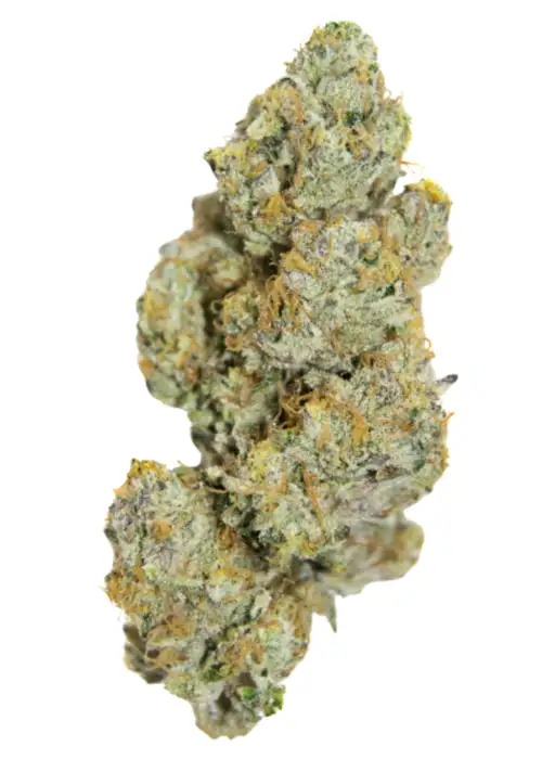 Cherry 7up Autoflower Limited Edition