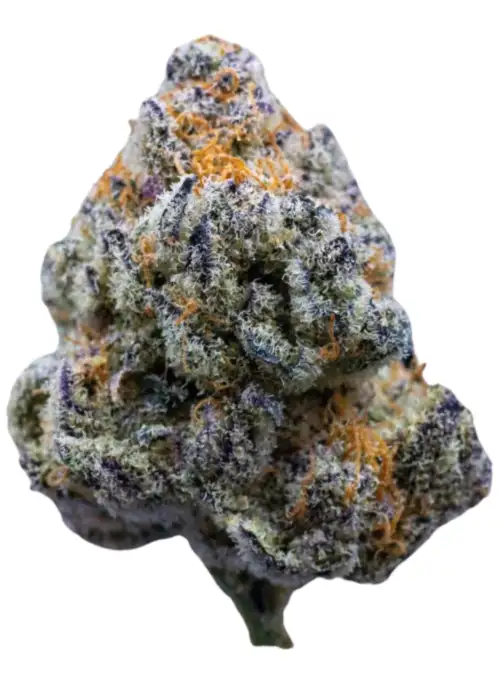 Platinum Mimosa Cookies Fast Version