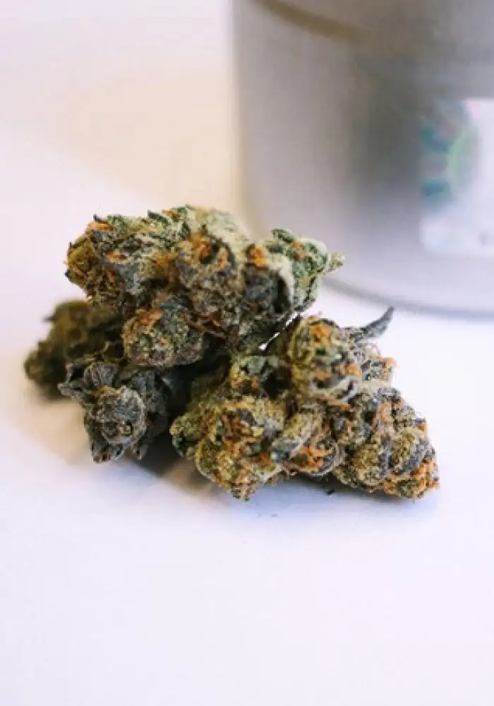 GSC Girl Scout Cookies