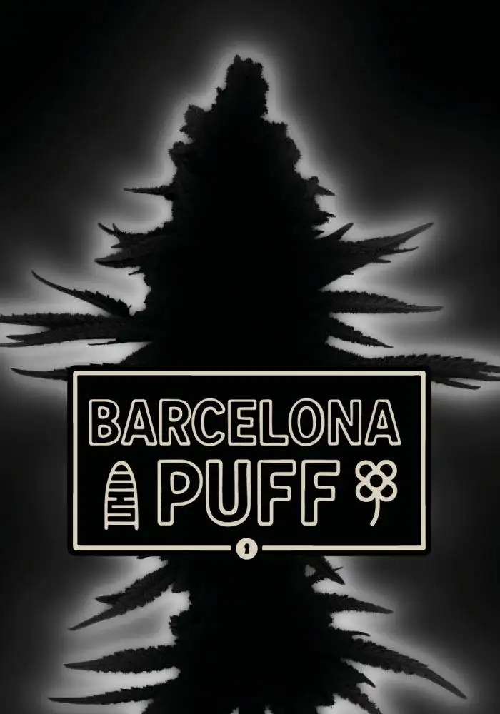 Barcelona Puff©