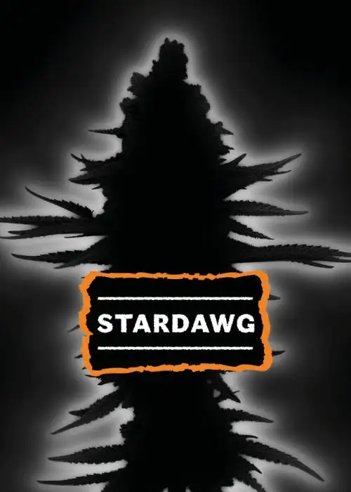 Stardawg Auto
