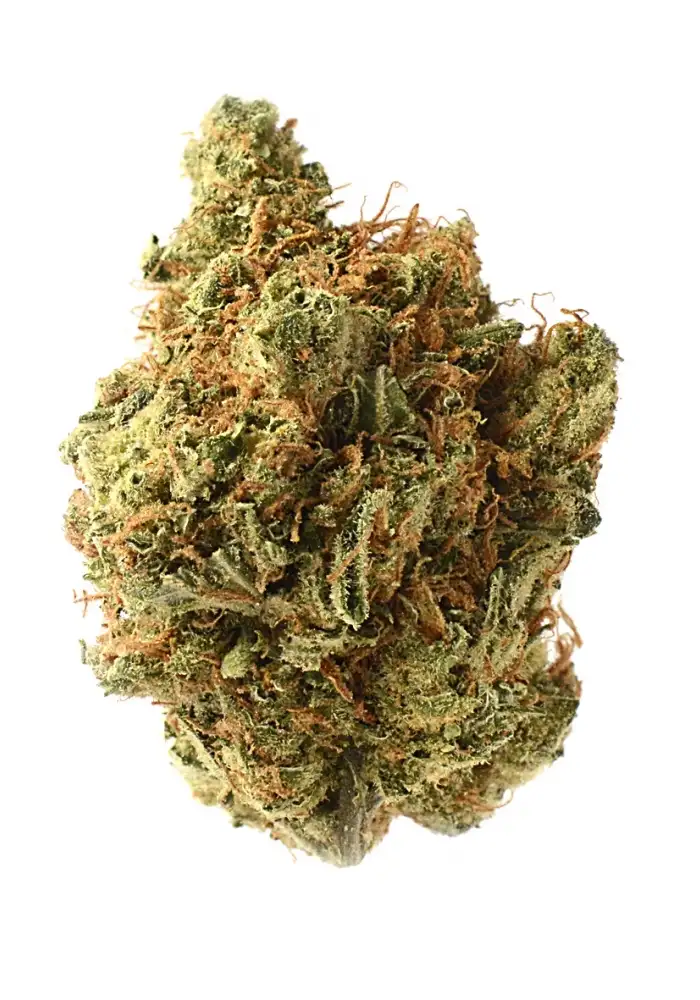 Amnesia Haze