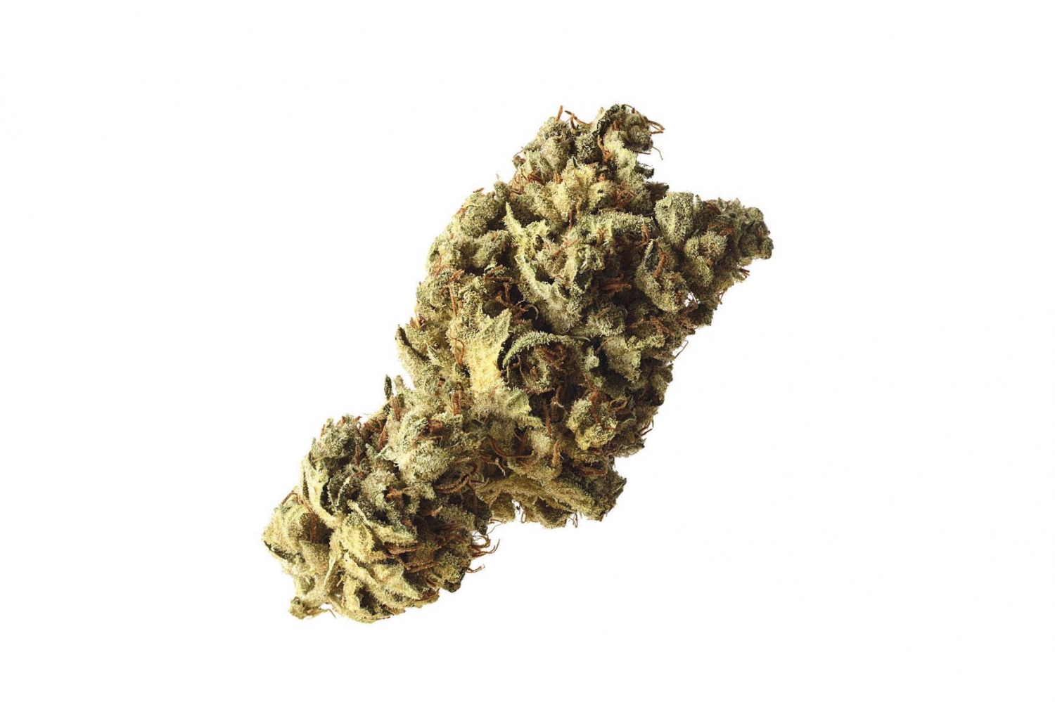 Pineapple Kush Strain Info / Pineapple Kush Weed By Amsterdam