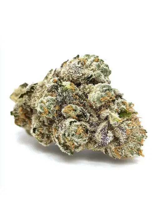 Apple Fritter Autoflower