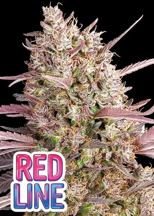 Redline