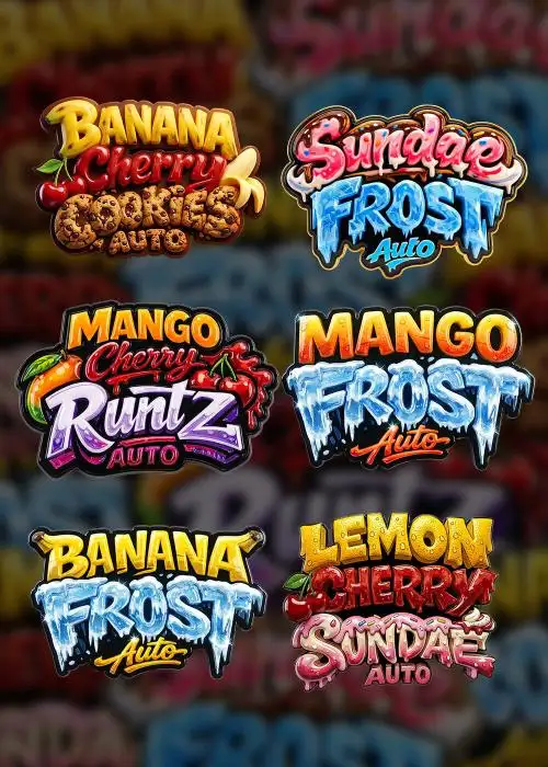 Unreleased Champions Mix Auto