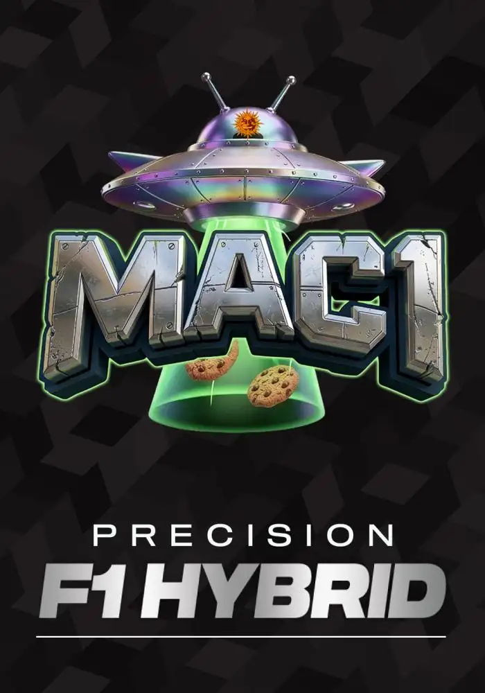 MAC 1 - F1 HYBRID