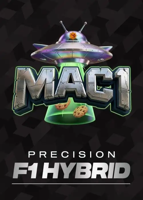 MAC 1 - F1 HYBRID