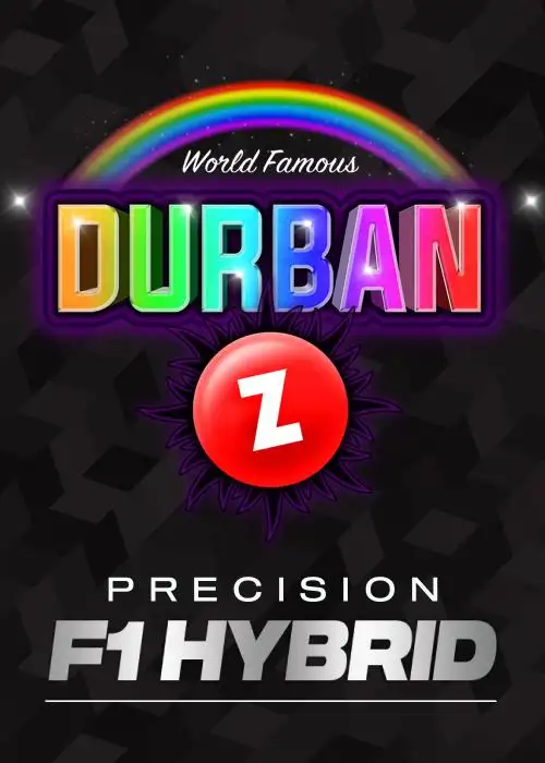 Durban Z - F1 HYBRID